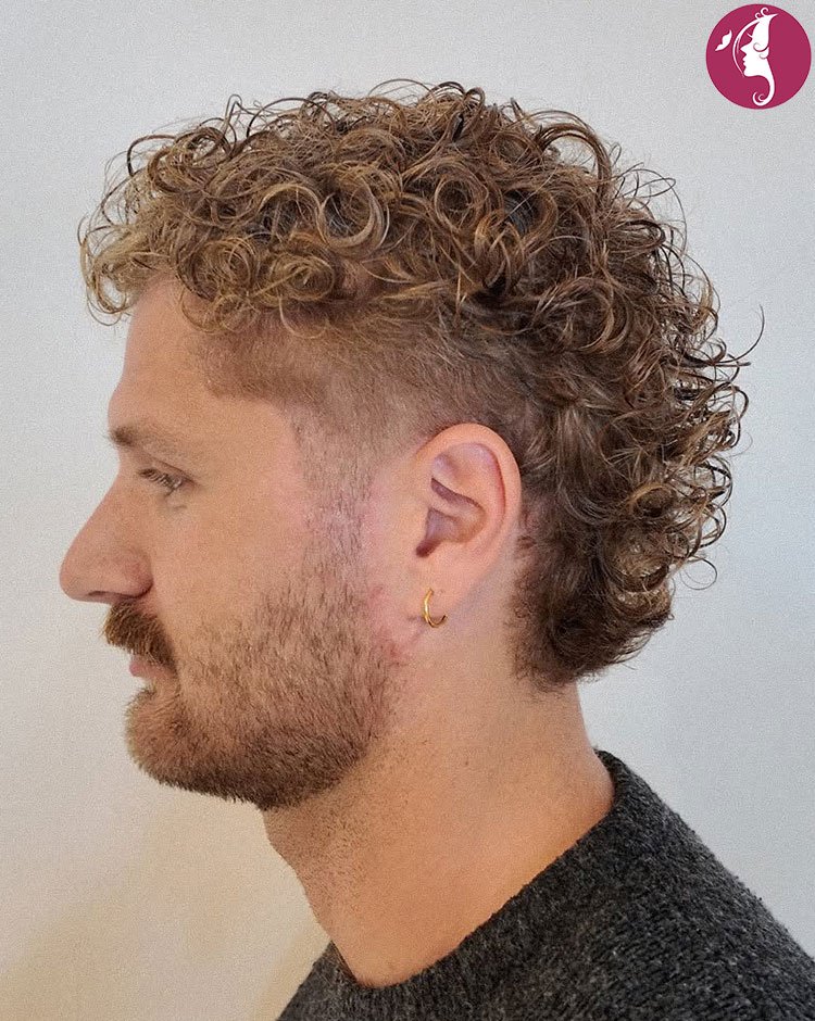 Man with curly taper mullet haircut, short sides and longer textured curls on top