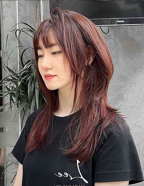 Auburn layered hush cut with wispy bangs