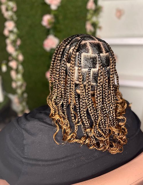 Mid-length box braids with honey-blonde highlights, neat square parts, and curly ends, back view.