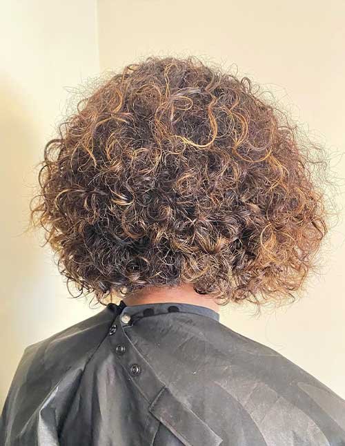 Back view of a short curly bob with tight, springy curls and light caramel highlights.