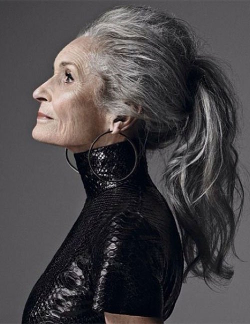 Silver-gray hair pulled into a high ponytail with loose, flowing waves in a side-profile portrait