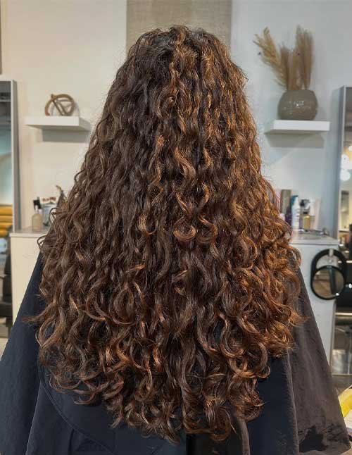 Back view of long, thick curly hair with lots of volume and layered shape, shown in a salon.